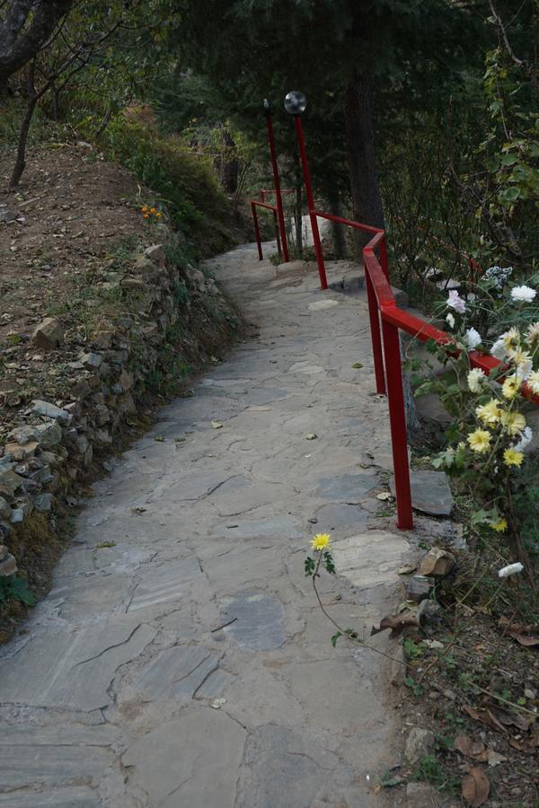 Hôtel Rajgarh Hills Extérieur photo