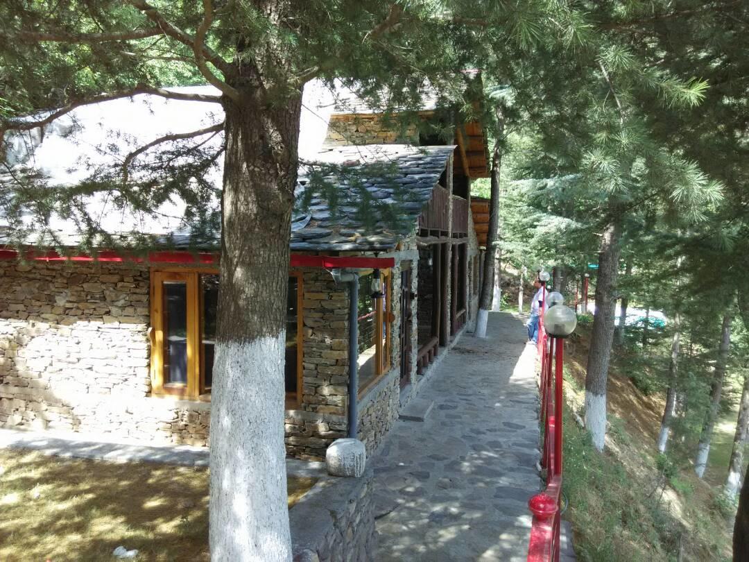 Hôtel Rajgarh Hills Extérieur photo